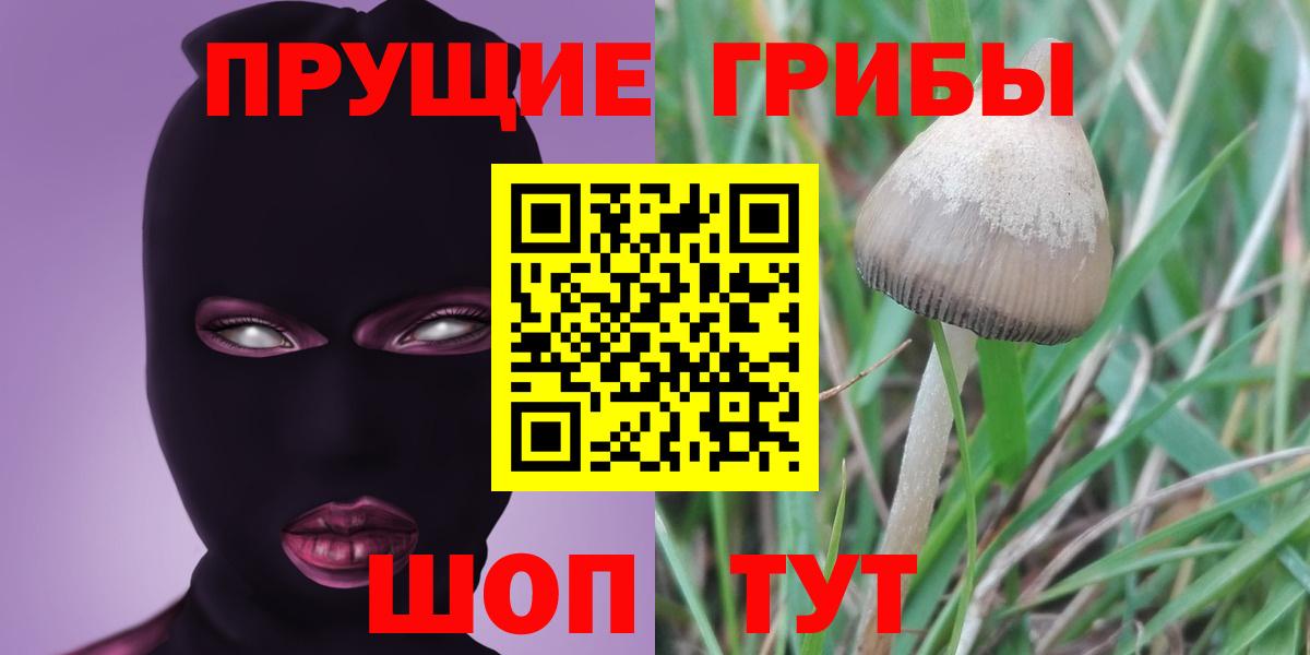 Галлюциногенные грибы Psilocybe  Вход с VPN  Псилоцибиновые грибы Psilocybine cubensis  Каменск-Шахтинский 
